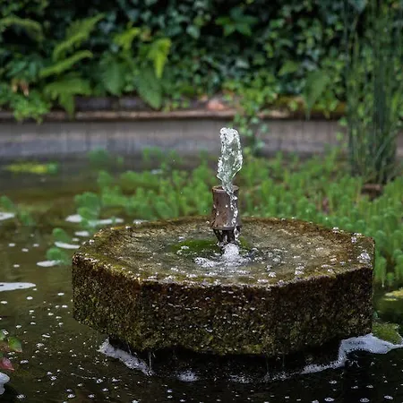 Casa Da Calcada Hotel Amarante