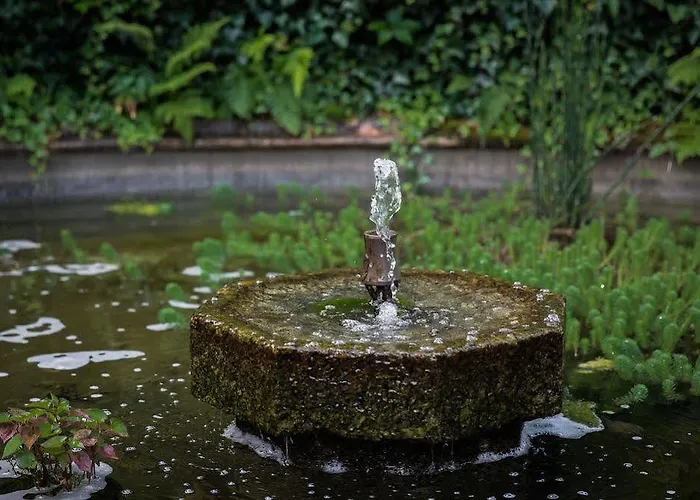 Casa Da Calcada Hotell Amarante